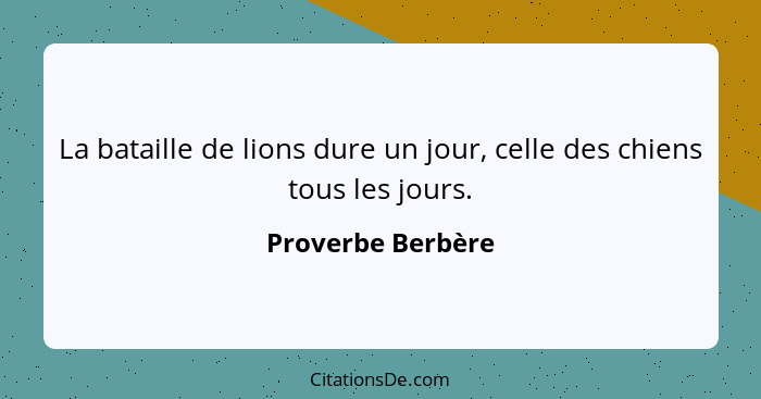 La bataille de lions dure un jour, celle des chiens tous les jours.... - Proverbe Berbère