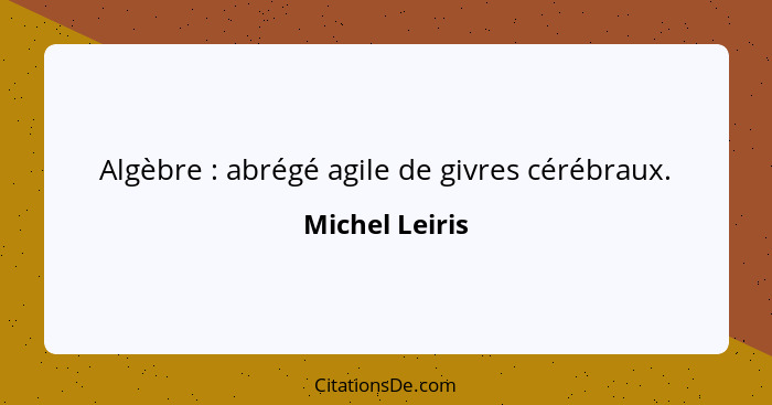 Algèbre : abrégé agile de givres cérébraux.... - Michel Leiris