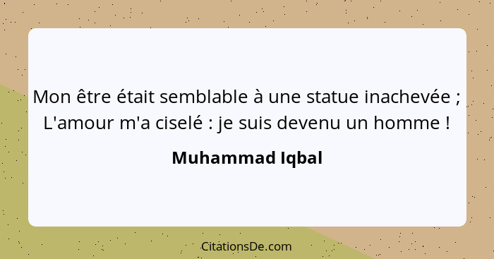 Mon être était semblable à une statue inachevée ; L'amour m'a ciselé : je suis devenu un homme !... - Muhammad Iqbal