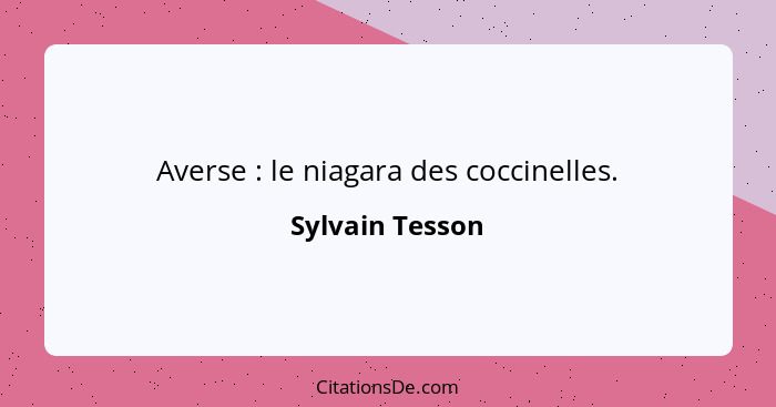 Averse : le niagara des coccinelles.... - Sylvain Tesson