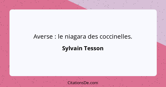 Averse : le niagara des coccinelles.... - Sylvain Tesson