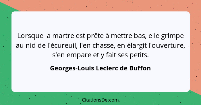 Lorsque la martre est prête à mettre bas, elle grimpe au nid de l'écureuil, l'en chasse, en élargit l'ouverture, s'e... - Georges-Louis Leclerc de Buffon