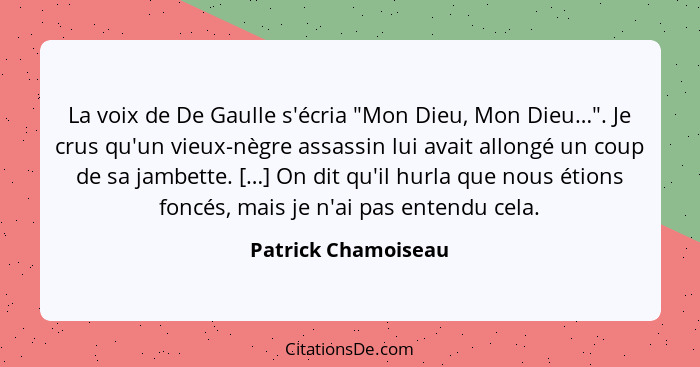 La voix de De Gaulle s'écria "Mon Dieu, Mon Dieu…". Je crus qu'un vieux-nègre assassin lui avait allongé un coup de sa jambette.... - Patrick Chamoiseau