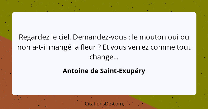 Regardez le ciel. Demandez-vous : le mouton oui ou non a-t-il mangé la fleur ? Et vous verrez comme tout change..... - Antoine de Saint-Exupéry