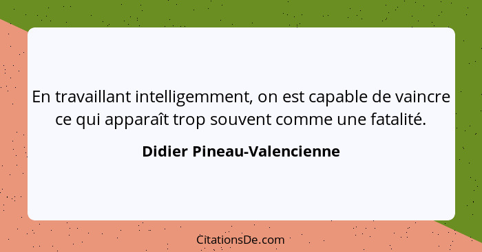 En travaillant intelligemment, on est capable de vaincre ce qui apparaît trop souvent comme une fatalité.... - Didier Pineau-Valencienne