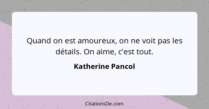 Quand on est amoureux, on ne voit pas les détails. On aime, c'est tout.... - Katherine Pancol