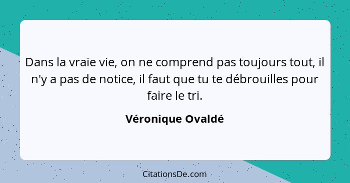 Dans la vraie vie, on ne comprend pas toujours tout, il n'y a pas de notice, il faut que tu te débrouilles pour faire le tri.... - Véronique Ovaldé