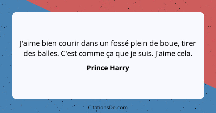 J'aime bien courir dans un fossé plein de boue, tirer des balles. C'est comme ça que je suis. J'aime cela.... - Prince Harry