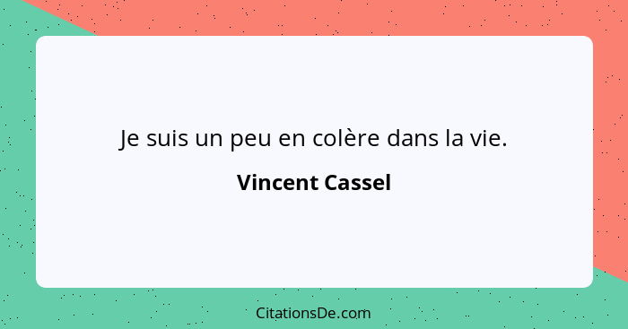 Je suis un peu en colère dans la vie.... - Vincent Cassel