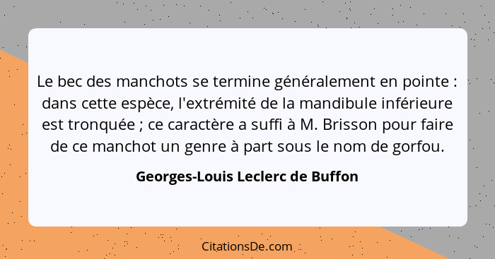 Le bec des manchots se termine généralement en pointe : dans cette espèce, l'extrémité de la mandibule inférieu... - Georges-Louis Leclerc de Buffon