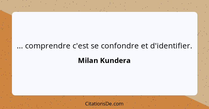 ... comprendre c'est se confondre et d'identifier.... - Milan Kundera