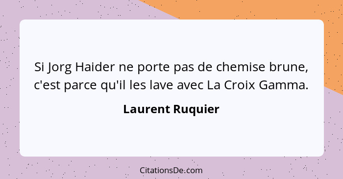 Si Jorg Haider ne porte pas de chemise brune, c'est parce qu'il les lave avec La Croix Gamma.... - Laurent Ruquier