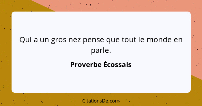 Qui a un gros nez pense que tout le monde en parle.... - Proverbe Écossais