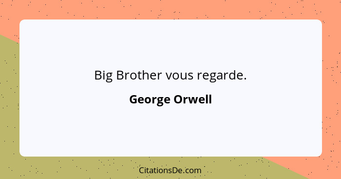 Big Brother vous regarde.... - George Orwell