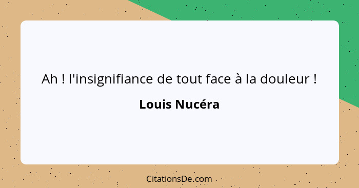 Ah ! l'insignifiance de tout face à la douleur !... - Louis Nucéra