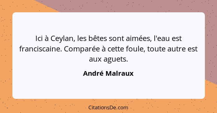 Ici à Ceylan, les bêtes sont aimées, l'eau est franciscaine. Comparée à cette foule, toute autre est aux aguets.... - André Malraux