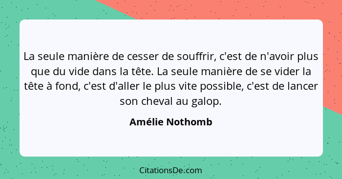 La seule manière de cesser de souffrir, c'est de n'avoir plus que du vide dans la tête. La seule manière de se vider la tête à fond,... - Amélie Nothomb