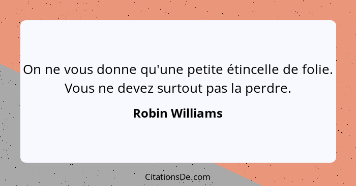 On ne vous donne qu'une petite étincelle de folie. Vous ne devez surtout pas la perdre.... - Robin Williams