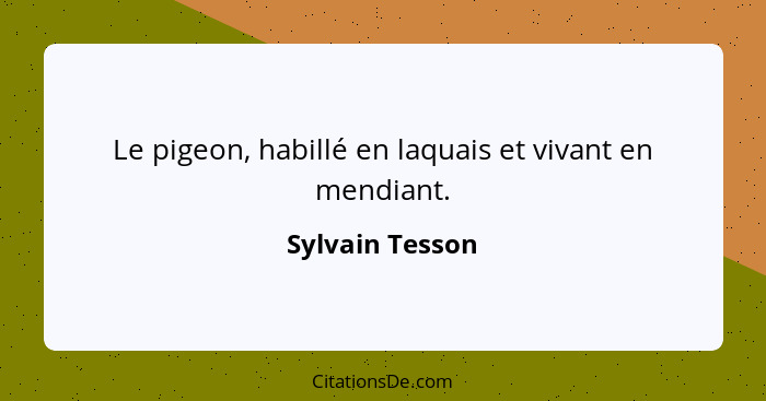 Le pigeon, habillé en laquais et vivant en mendiant.... - Sylvain Tesson
