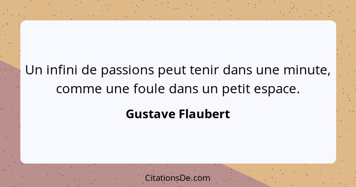 Un infini de passions peut tenir dans une minute, comme une foule dans un petit espace.... - Gustave Flaubert