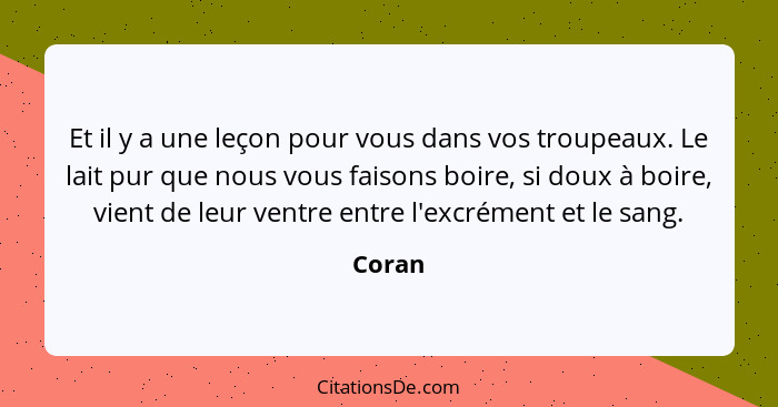 Et il y a une leçon pour vous dans vos troupeaux. Le lait pur que nous vous faisons boire, si doux à boire, vient de leur ventre entre l'excré... - Coran