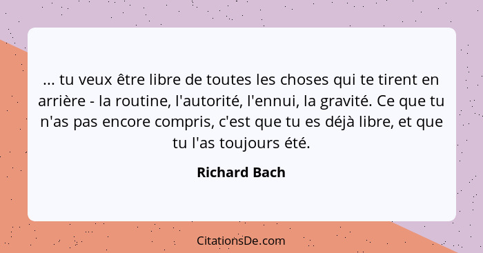 ... tu veux être libre de toutes les choses qui te tirent en arrière - la routine, l'autorité, l'ennui, la gravité. Ce que tu n'as pas... - Richard Bach