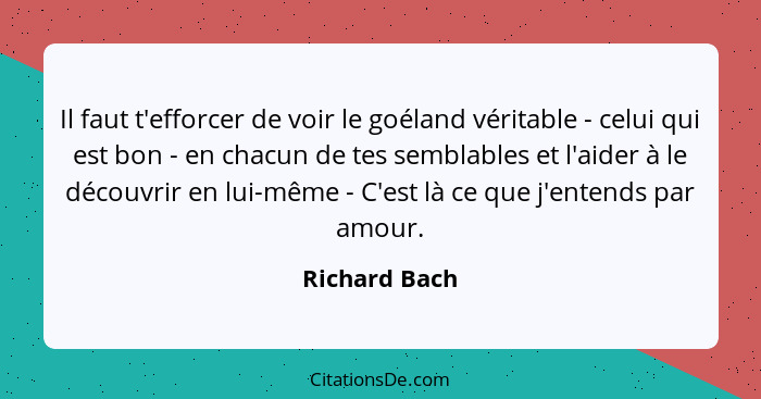 Il faut t'efforcer de voir le goéland véritable - celui qui est bon - en chacun de tes semblables et l'aider à le découvrir en lui-même... - Richard Bach