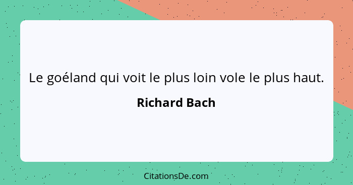 Le goéland qui voit le plus loin vole le plus haut.... - Richard Bach