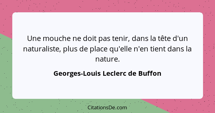 Une mouche ne doit pas tenir, dans la tête d'un naturaliste, plus de place qu'elle n'en tient dans la nature.... - Georges-Louis Leclerc de Buffon