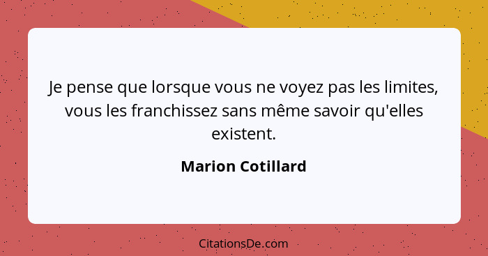 Je pense que lorsque vous ne voyez pas les limites, vous les franchissez sans même savoir qu'elles existent.... - Marion Cotillard