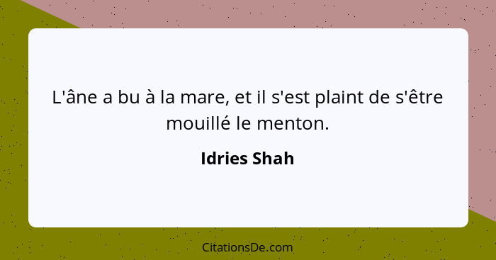 L'âne a bu à la mare, et il s'est plaint de s'être mouillé le menton.... - Idries Shah