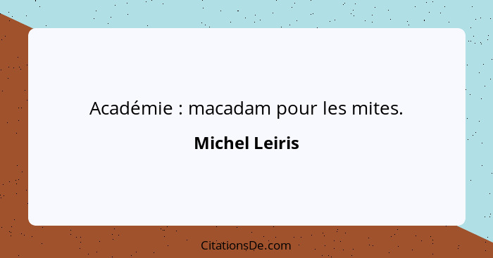 Académie : macadam pour les mites.... - Michel Leiris
