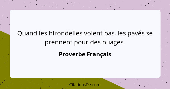 Quand les hirondelles volent bas, les pavés se prennent pour des nuages.... - Proverbe Français