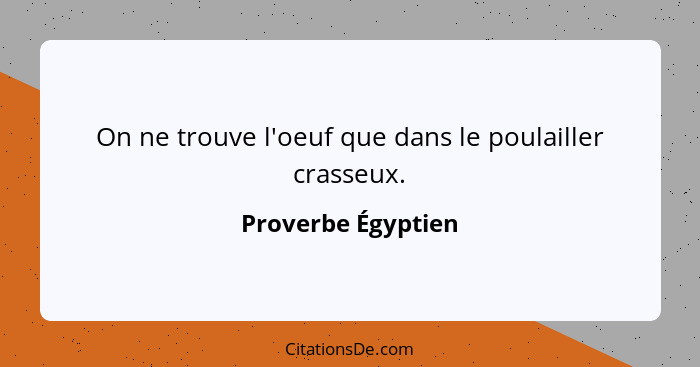 On ne trouve l'oeuf que dans le poulailler crasseux.... - Proverbe Égyptien