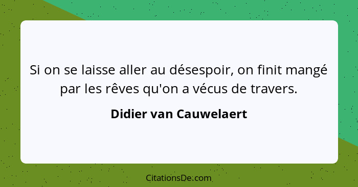 Si on se laisse aller au désespoir, on finit mangé par les rêves qu'on a vécus de travers.... - Didier van Cauwelaert