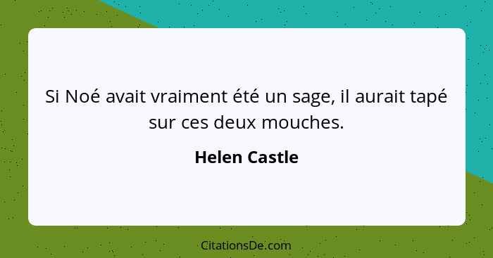 Si Noé avait vraiment été un sage, il aurait tapé sur ces deux mouches.... - Helen Castle