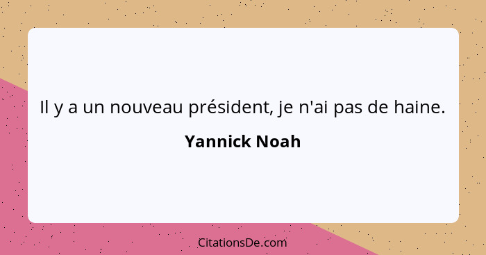 Il y a un nouveau président, je n'ai pas de haine.... - Yannick Noah