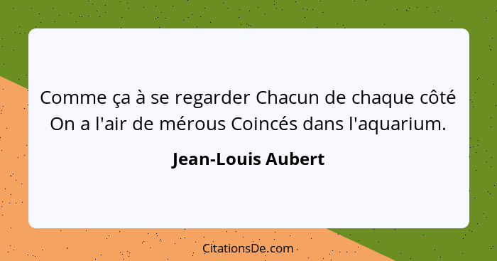 Comme ça à se regarder Chacun de chaque côté On a l'air de mérous Coincés dans l'aquarium.... - Jean-Louis Aubert