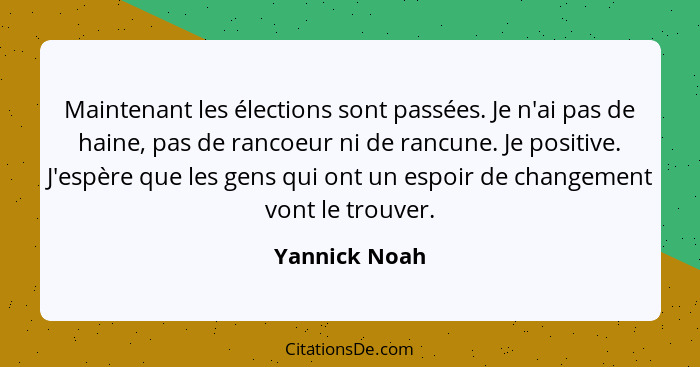 Maintenant les élections sont passées. Je n'ai pas de haine, pas de rancoeur ni de rancune. Je positive. J'espère que les gens qui ont... - Yannick Noah