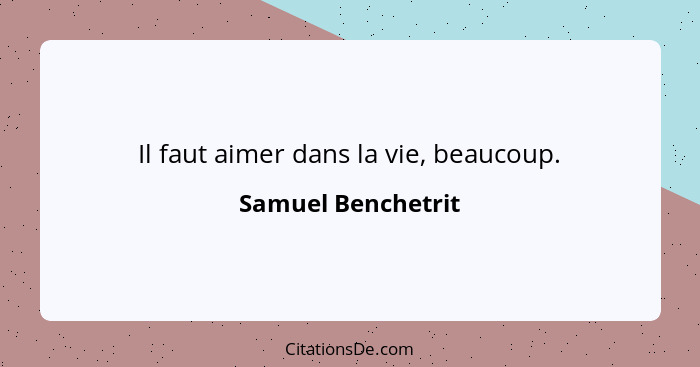 Il faut aimer dans la vie, beaucoup.... - Samuel Benchetrit