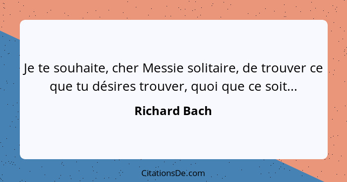 Je te souhaite, cher Messie solitaire, de trouver ce que tu désires trouver, quoi que ce soit...... - Richard Bach