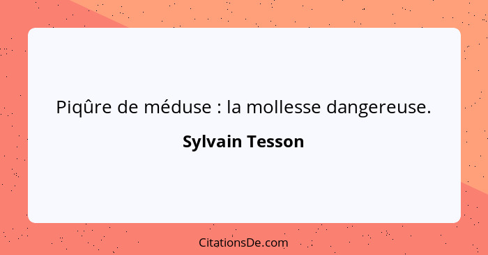 Piqûre de méduse : la mollesse dangereuse.... - Sylvain Tesson