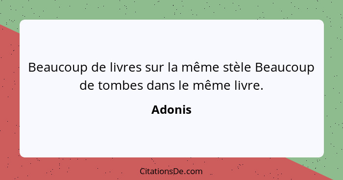 Beaucoup de livres sur la même stèle Beaucoup de tombes dans le même livre.... - Adonis