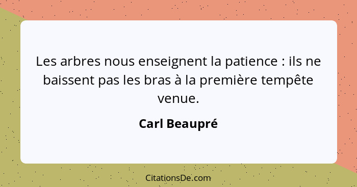 Les arbres nous enseignent la patience : ils ne baissent pas les bras à la première tempête venue.... - Carl Beaupré