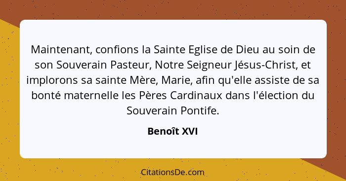 Maintenant, confions la Sainte Eglise de Dieu au soin de son Souverain Pasteur, Notre Seigneur Jésus-Christ, et implorons sa sainte Mère,... - Benoît XVI
