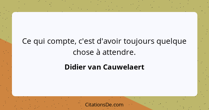 Ce qui compte, c'est d'avoir toujours quelque chose à attendre.... - Didier van Cauwelaert