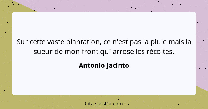 Sur cette vaste plantation, ce n'est pas la pluie mais la sueur de mon front qui arrose les récoltes.... - Antonio Jacinto