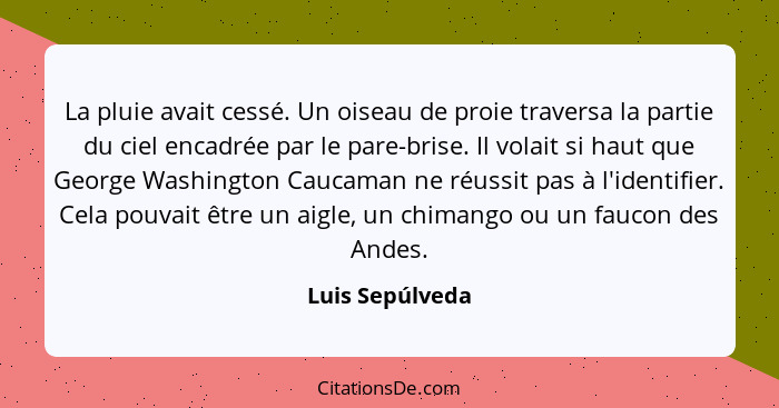 La pluie avait cessé. Un oiseau de proie traversa la partie du ciel encadrée par le pare-brise. Il volait si haut que George Washingt... - Luis Sepúlveda