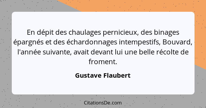 En dépit des chaulages pernicieux, des binages épargnés et des échardonnages intempestifs, Bouvard, l'année suivante, avait devant... - Gustave Flaubert