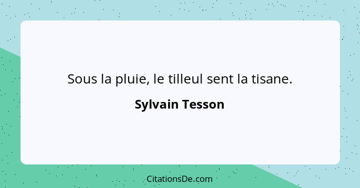 Sous la pluie, le tilleul sent la tisane.... - Sylvain Tesson